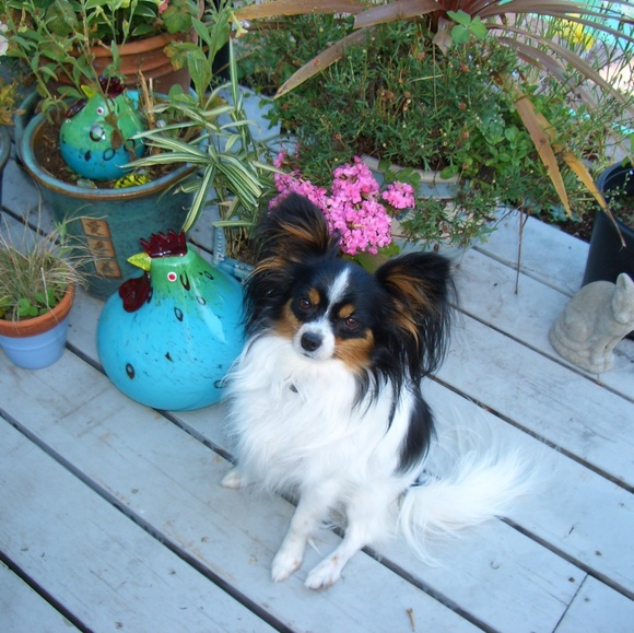 Meet your Posher, Nan kc - Picture 2 of 12